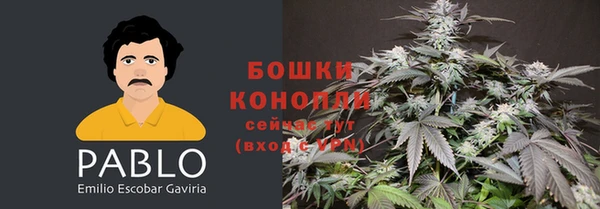 Альфа ПВП Козловка