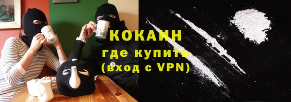 крисы Козельск