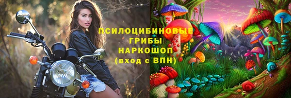 крисы Козельск