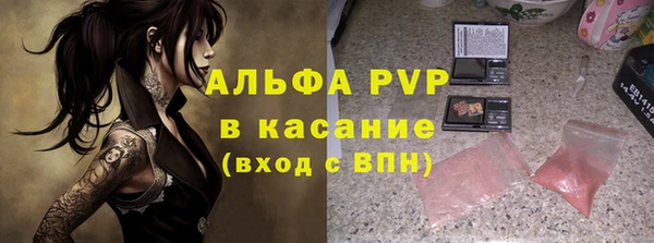 эйфоретик Корсаков