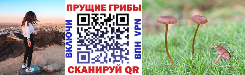 Псилоцибиновые грибы мицелий  Купить где  Октябрьск 